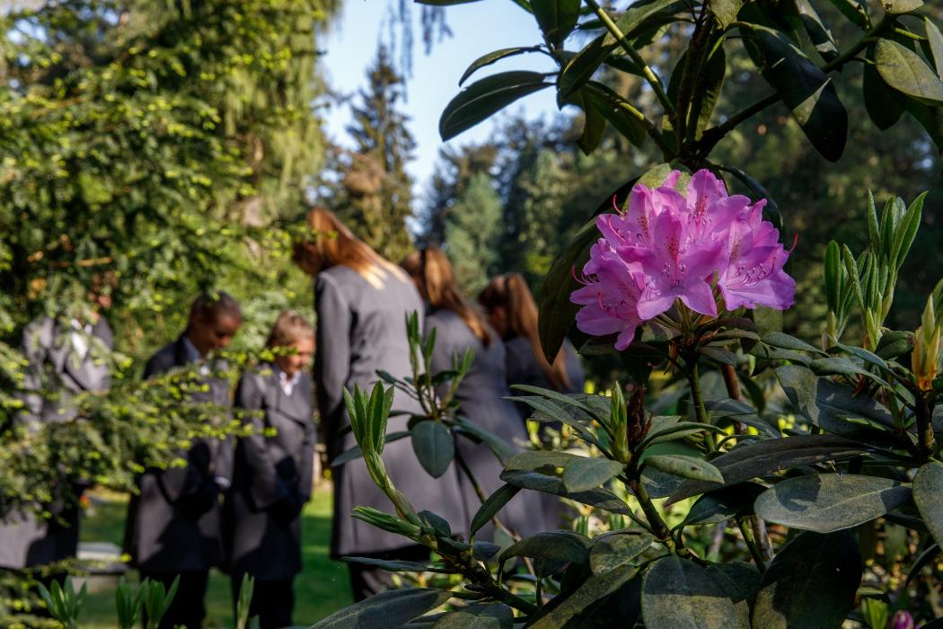 IJsselland Uitvaartzorg - Marisa Bremer - Uitvaart Zwolle En Regio